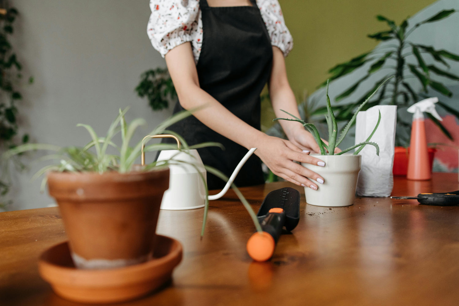 Home and Garden
